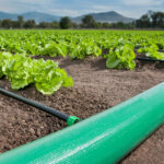 LD Lay-Flat Delivery Hose Pipe Plant12