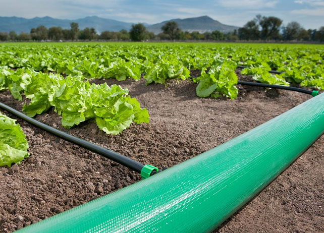 LD Lay-Flat Delivery Hose Pipe Plant12